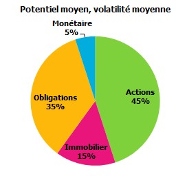 Allocation d'actifs moyenne