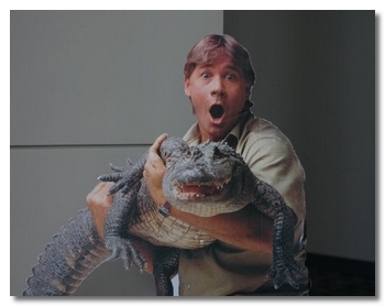 assurance Un accident est si vite arrivé !