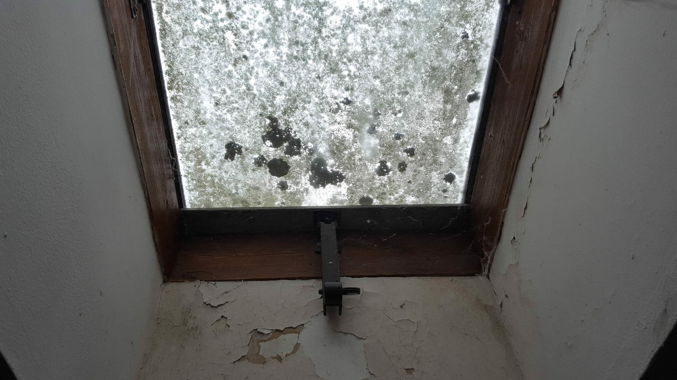 Anciennes fenêtres dans l'immeuble à 0 euro