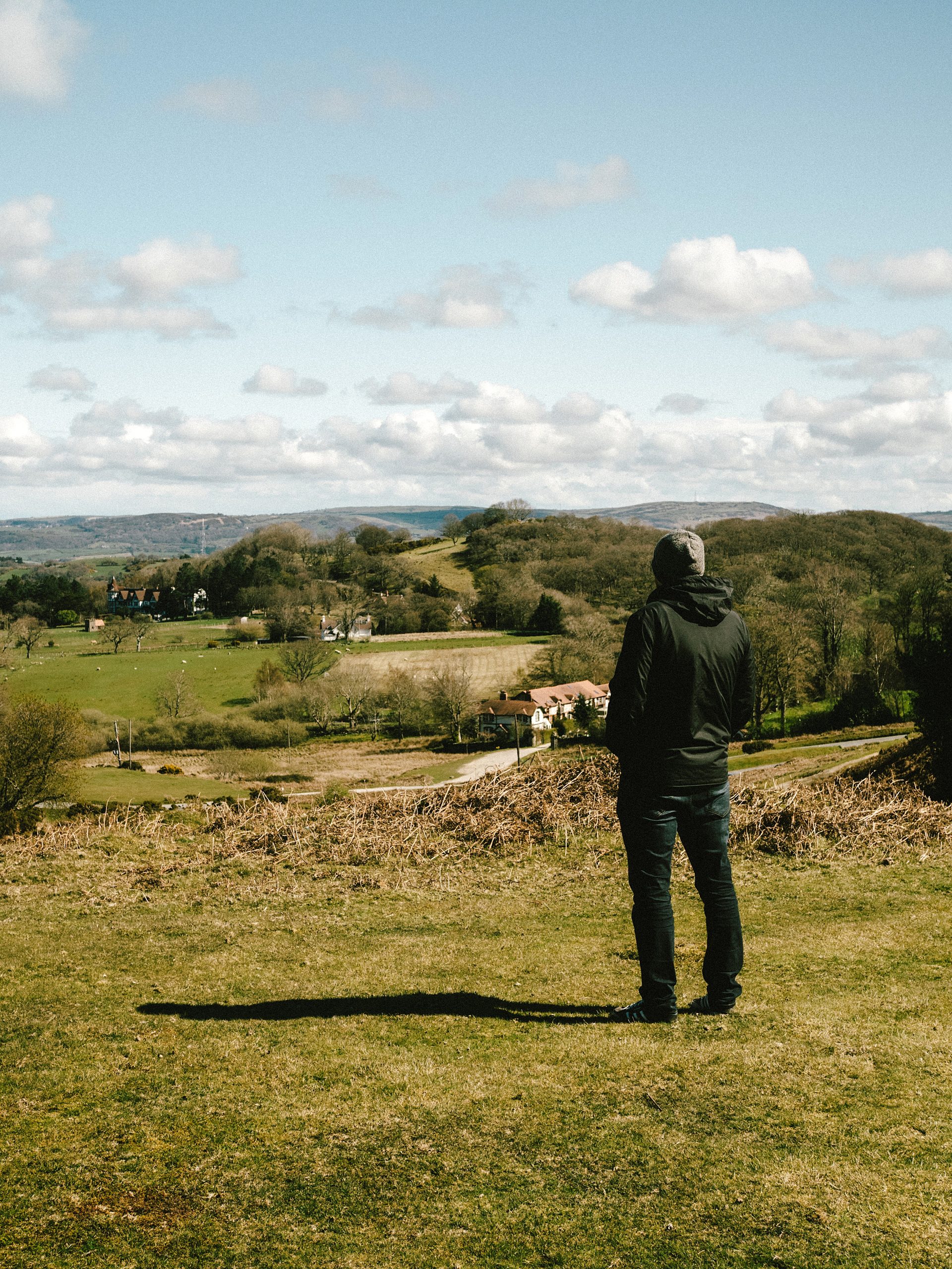 pexels-lisa-fotios-8102982