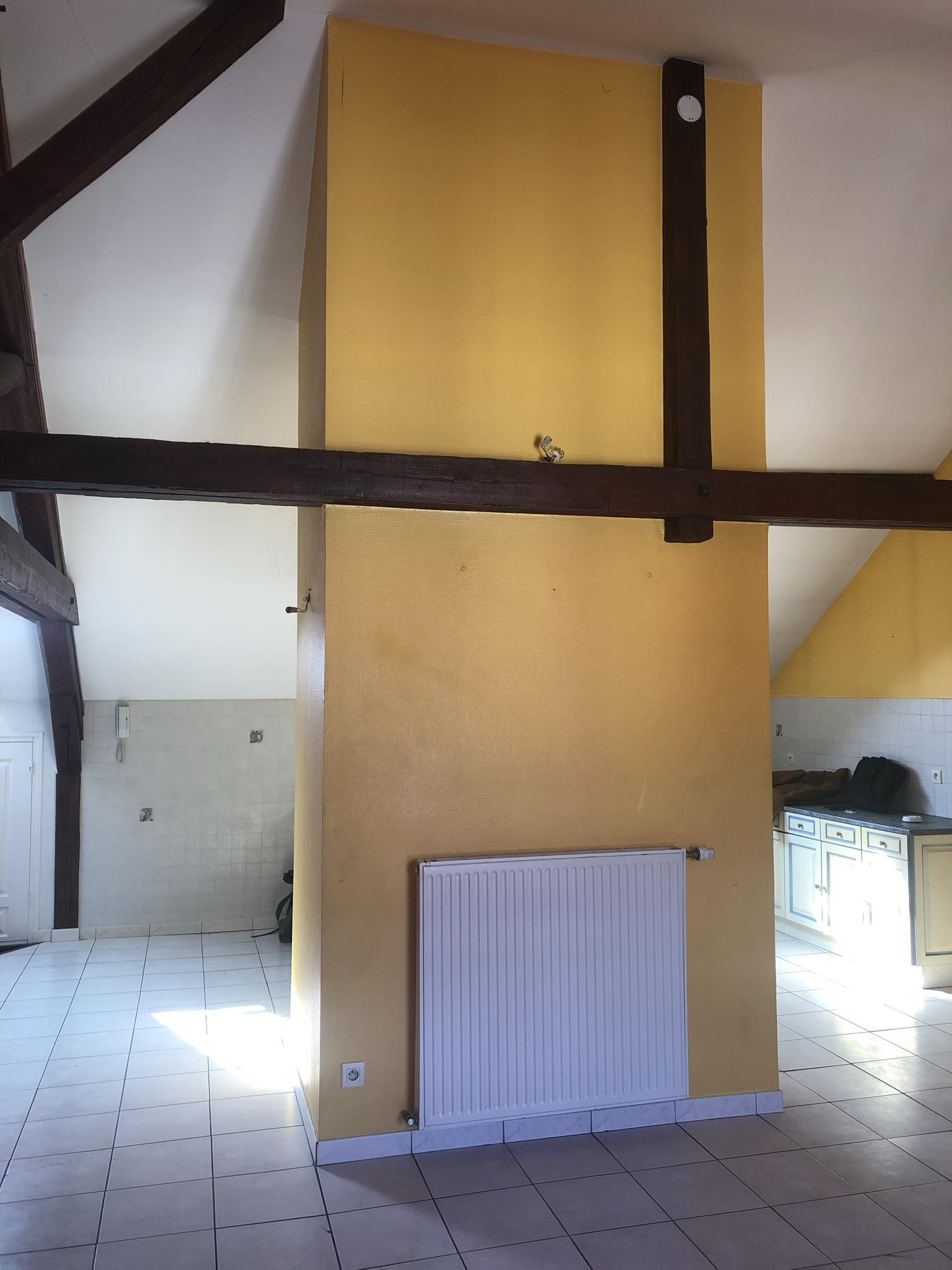 Photos avant rénovation de la colocation rentable de Thomas à Troyes dans un appartement avec poutres apparentes cuisine et salon