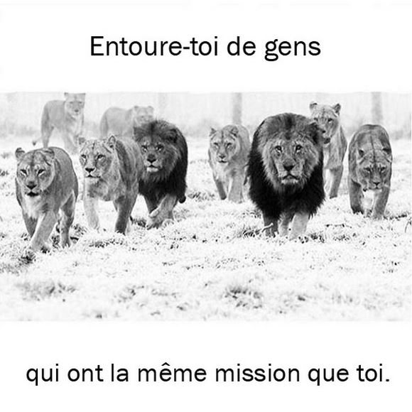 Entoure-toi de gens qui ont la même mission que toi et pense à la diversification de tes investissements immobiliers.